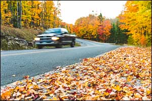 Autumn Maintenance Prevention Fall River
