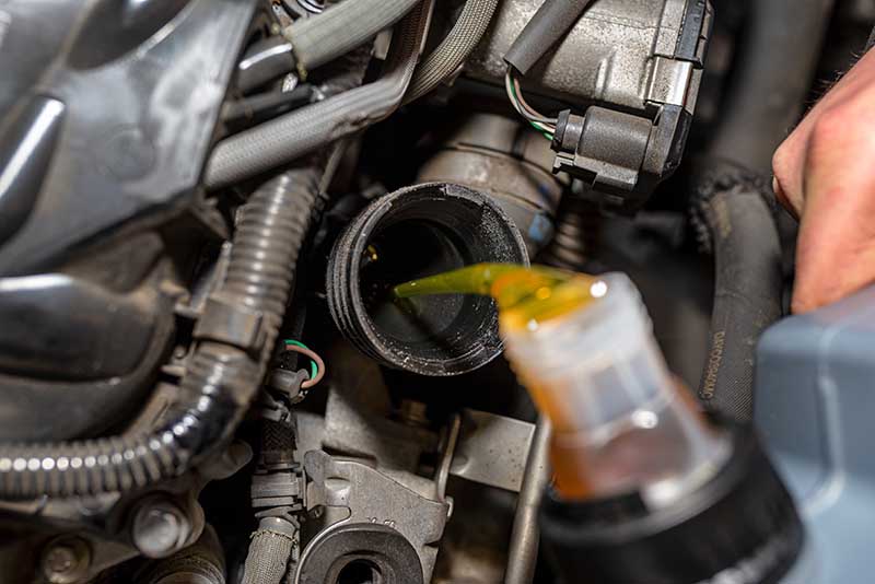 new oil in car