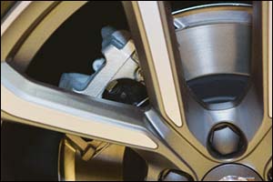 clean tyre and breaks